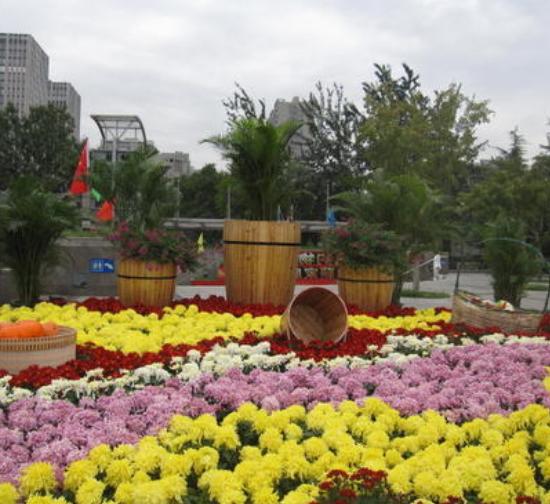 桂林城市菊展设计